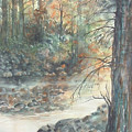 A Day In The Woods
